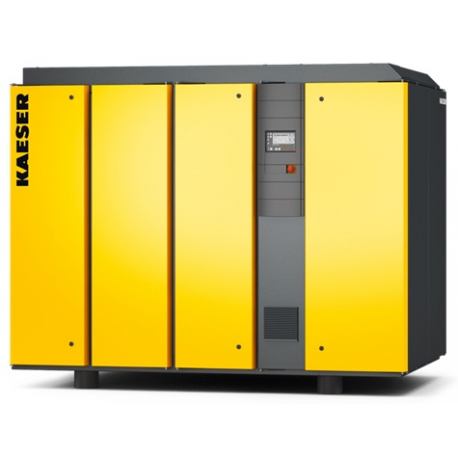 Винтовой компрессор Kaeser DSG 140-2 8